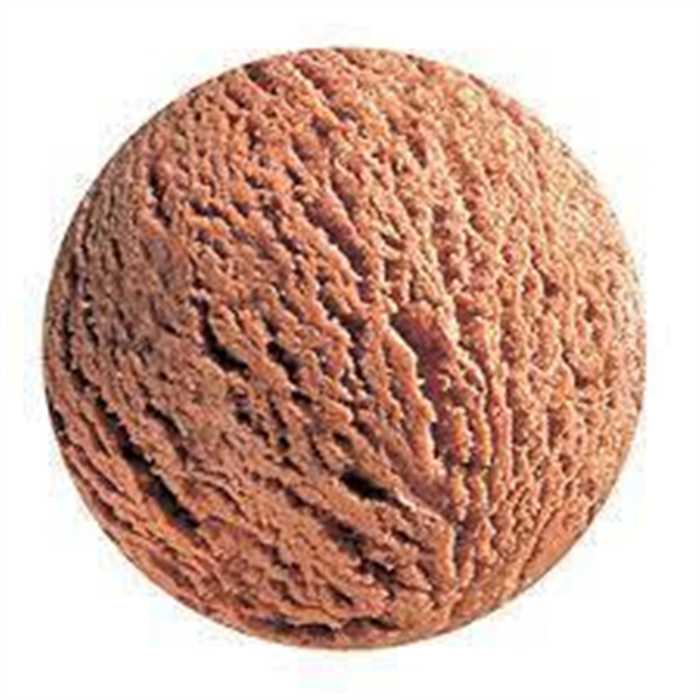 Glace chocolat 5L - Best Price - 