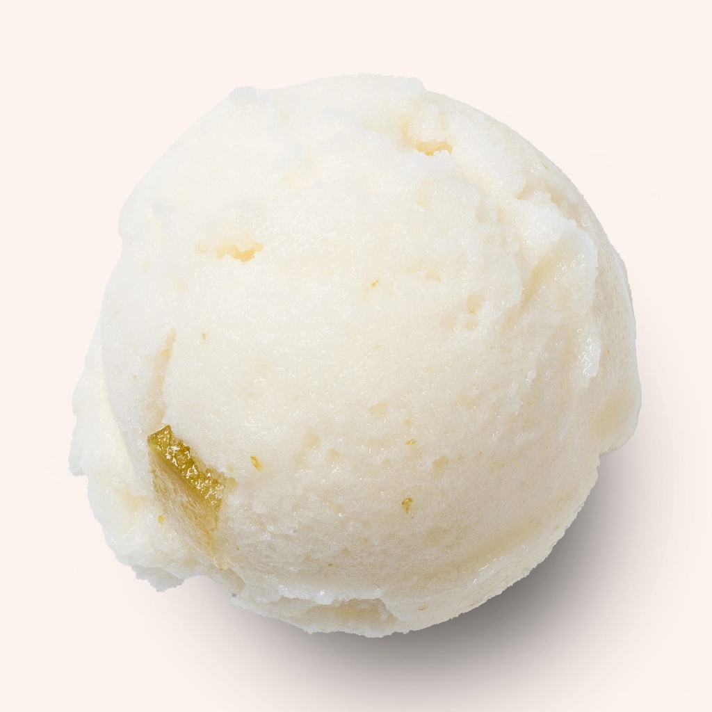 Sorbet citron 5L - Best