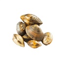Vongolé entiéres cuite 60/80 - Iqf - 