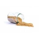 Sesame blanc grains 580 gr - Isfi - 