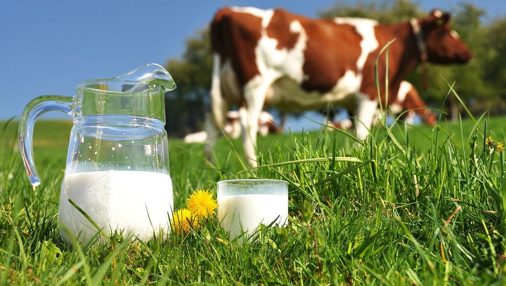 Lait entier frais 1L - Vermeerch - 