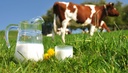 Lait entier frais 1L - Vermeerch - 