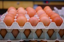 Oeufs XXL 30 pièces 