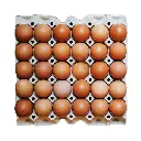 Oeuf M 30 pièces 