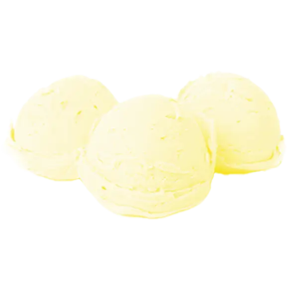 Sorbet citron 5L - Best