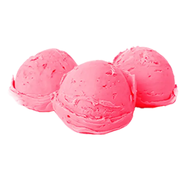 Sorbet framboise 2.4L - World Selection - 