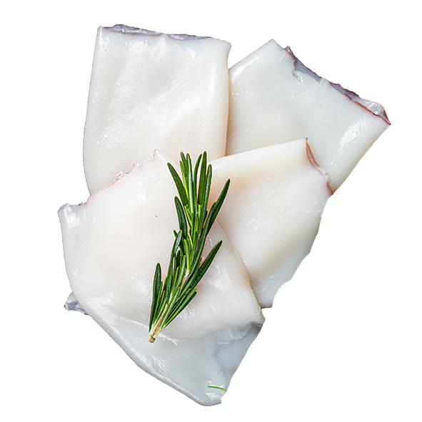 [200016] Calamar entier tube U5