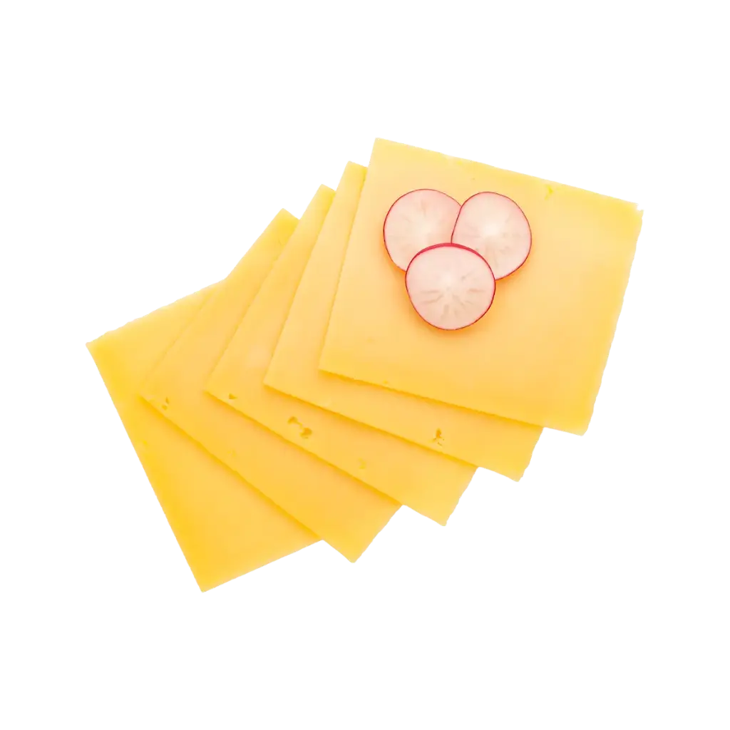 [100015] Gouda tranche 10X10cm 1kg 