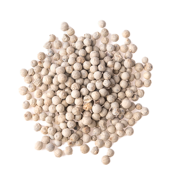Poivre blanc en grain 550 gr - Isfi - 
