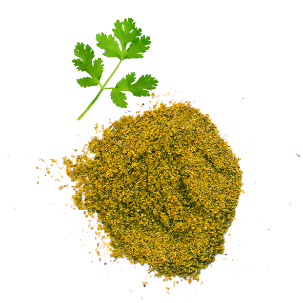 Coriandre moulue 420 gr - Isfi - 