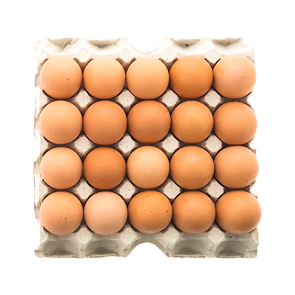 Oeuf plaque 20 XXL 