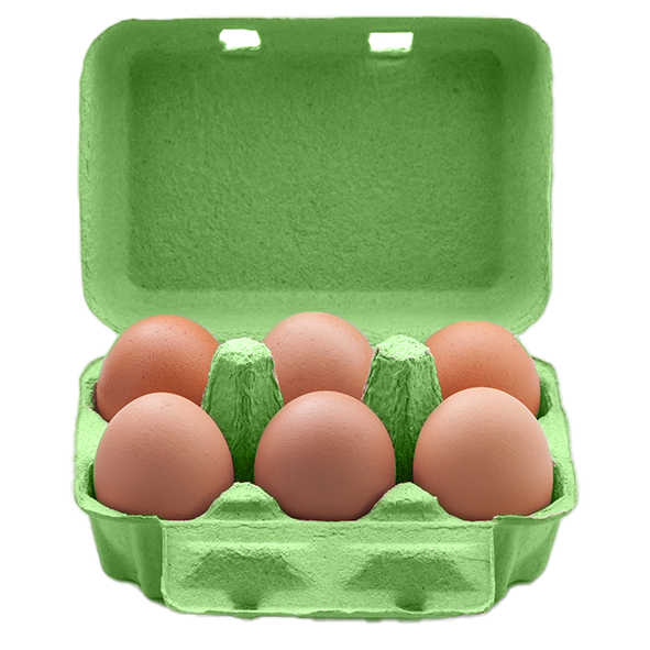 Oeuf bio 6 pièces