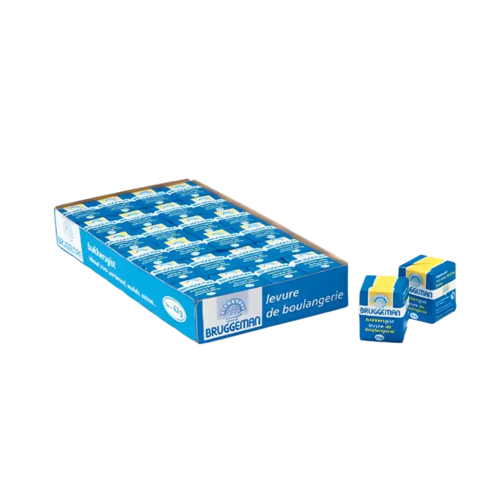 Levure 10X24X42GR - BRUGGEMAN -