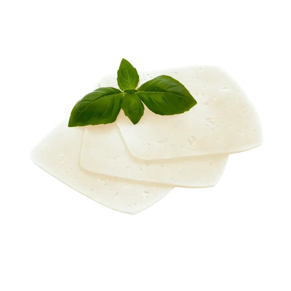 Mozzarella tranche 50 x 20gr (10x10cm)