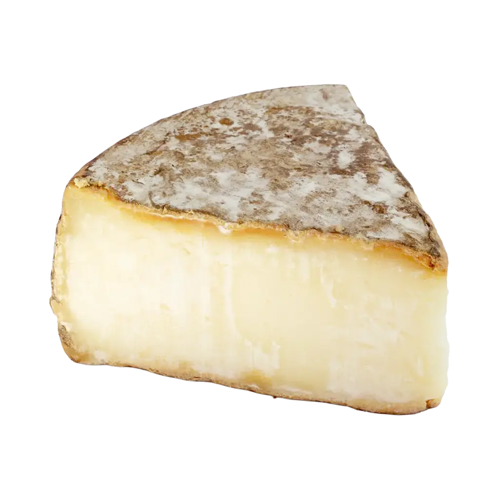 Tomme de Savoie Fruitière 48%