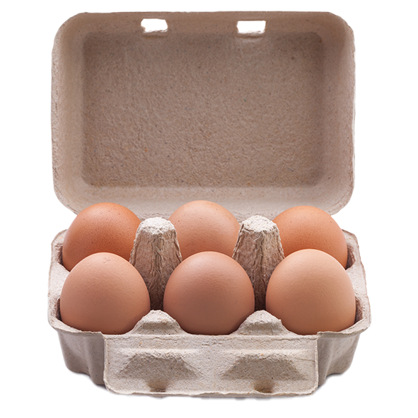 Oeuf L fermiers- Poules élevées  au sol -6 Piéces