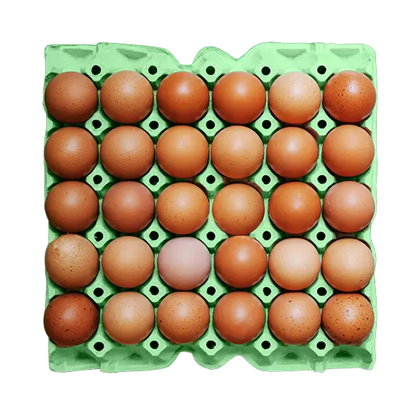 Oeuf bio 30 piéces
