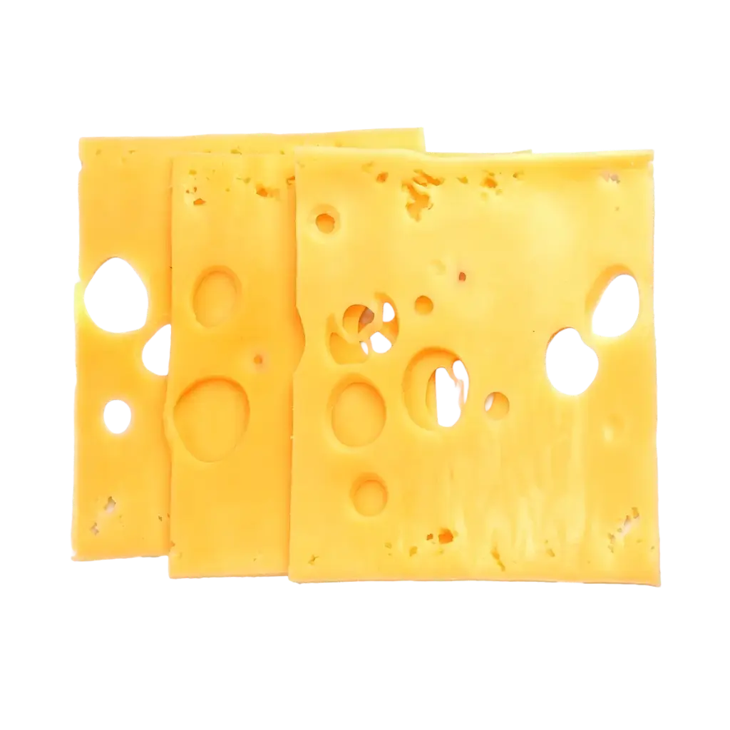 Emmental en tranche 10X10 