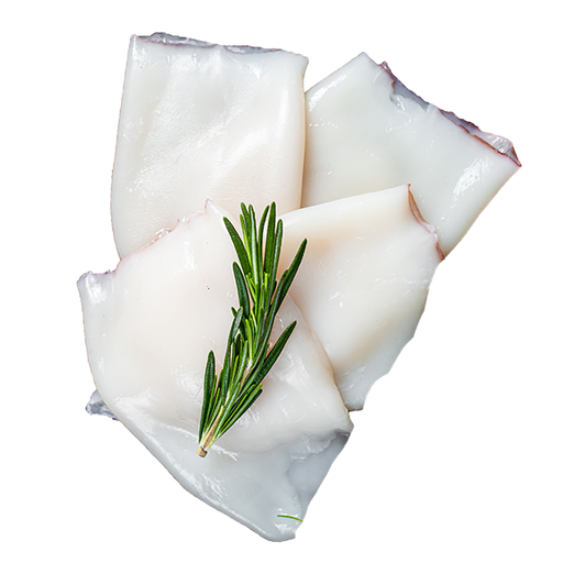 [200016] Calamar entier tube U5