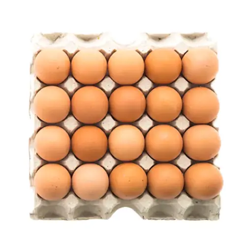 [300140] Oeuf plaque 20 XXL 