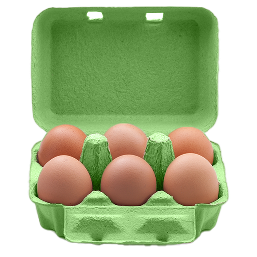 [300141] Oeuf bio 6 pièces