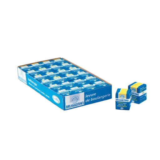 [100096] Levure 10X24X42GR - BRUGGEMAN -