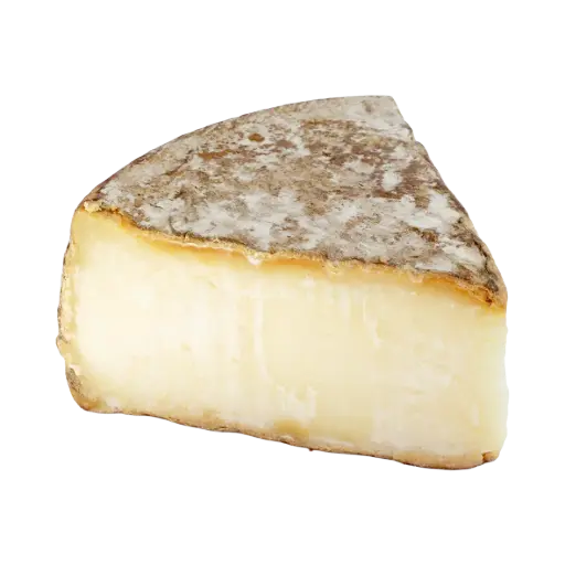 [100134] Tomme de Savoie Fruitière 48%